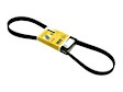 03L-903-137 T Serpentine Belt - Sold Individually