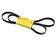 06C-903-137 E Serpentine Belt - Sold Individually