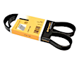 06J-260-849 F Serpentine Belt - Sold Individually