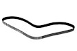 06L-903-137 A Serpentine Belt - Sold Individually