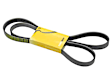 078-903-137 BJ Serpentine Belt - Sold Individually