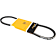 10X800 V-belt