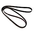 2019 Kia Rio - Serpentine Belt, 4 Cyl 1.6L, Accessory Drive