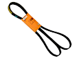 55-567-786 Serpentine Belt - Sold Individually
