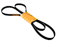 C2S24900 Serpentine Belt - Sold Individually