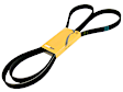 XR830447 Serpentine Belt - Sold Individually
