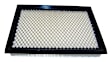 4591100AC Air Filter