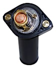 4666149AA Thermostat