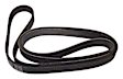 53002900 Serpentine Belt - Serpentine belt, Direct Fit, Sold Individually