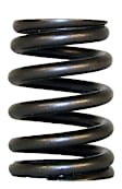 53010388 Valve Spring - Direct Fit