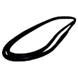 55019988 Front Windshield Molding