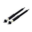 8343359 Rear, Driver and Passenger Side Shock