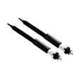 8343359 Rear, Driver and Passenger Side Shock