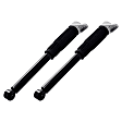 8346196 Rear, Driver and Passenger Side Shock