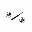 84002 Driver or Passenger Side Trunk Lid Lift Support