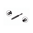 84003 Driver or Passenger Side Hood Lift Support