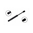 84030 Driver or Passenger Side Trunk Lid Lift Support