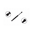84078 Driver or Passenger Side Trunk Lid Lift Support