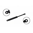 84102 Driver or Passenger Side Trunk Lid Lift Support