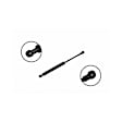 84116 Driver or Passenger Side Hood Lift Support