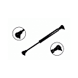 84133 Driver or Passenger Side Trunk Lid Lift Support