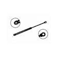 84134 Driver or Passenger Side Hood Lift Support