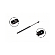 84159 Driver or Passenger Side Hood Lift Support