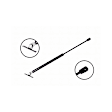 84176 Driver or Passenger Side Hood Lift Support