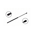 84293 Driver or Passenger Side Liftgate Lift Support