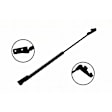 84303R Passenger Side Liftgate Lift Support