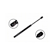 2001 Toyota Camry - Driver or Passenger Side Lift Support Hood, For Hood, OE Replacement Series