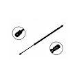 84342 Driver or Passenger Side Hood Lift Support