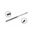 1999 Volkswagen Jetta - Driver or Passenger Side Lift Support Hood, For Hood, OE Replacement Series