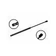 84360 Driver or Passenger Side Liftgate Lift Support