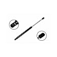84361 Driver or Passenger Side Hood Lift Support