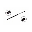 84369 Driver or Passenger Side Back Glass Lift Support