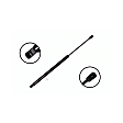 84370 Driver or Passenger Side Liftgate Lift Support
