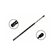 84396 Driver or Passenger Side Liftgate Lift Support