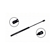 84403 Driver or Passenger Side Liftgate Lift Support