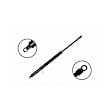 84434 Driver or Passenger Side Liftgate Lift Support