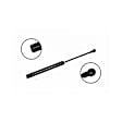 84441 Driver or Passenger Side Liftgate Lift Support