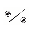 84451 Driver or Passenger Side Back Glass Lift Support