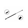 84452 Driver or Passenger Side Liftgate Lift Support