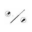 84459 Driver or Passenger Side Liftgate Lift Support