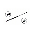 84462 Driver or Passenger Side Hood Lift Support