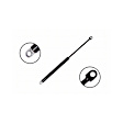 84472 Driver or Passenger Side Trunk Lid Lift Support