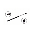 84478 Driver or Passenger Side Hood Lift Support