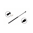 84545 Driver or Passenger Side Trunk Lid Lift Support