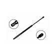 84573 Driver or Passenger Side Liftgate Lift Support
