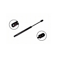 2001 Ford F-150 - Driver or Passenger Side Lift Support Hood, Front, For Hood, With Steel Hood, OE Replacement Series